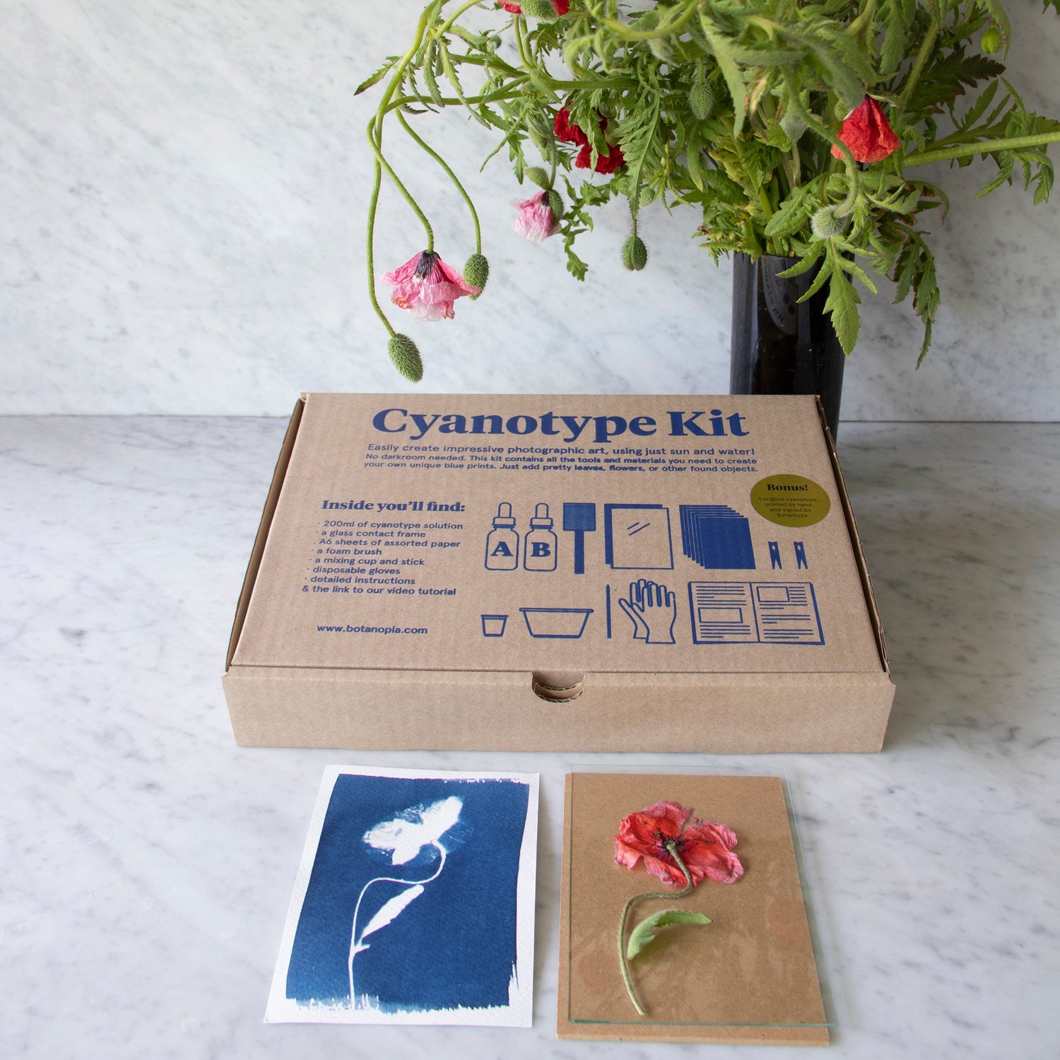 Botanopia - DIY Kits